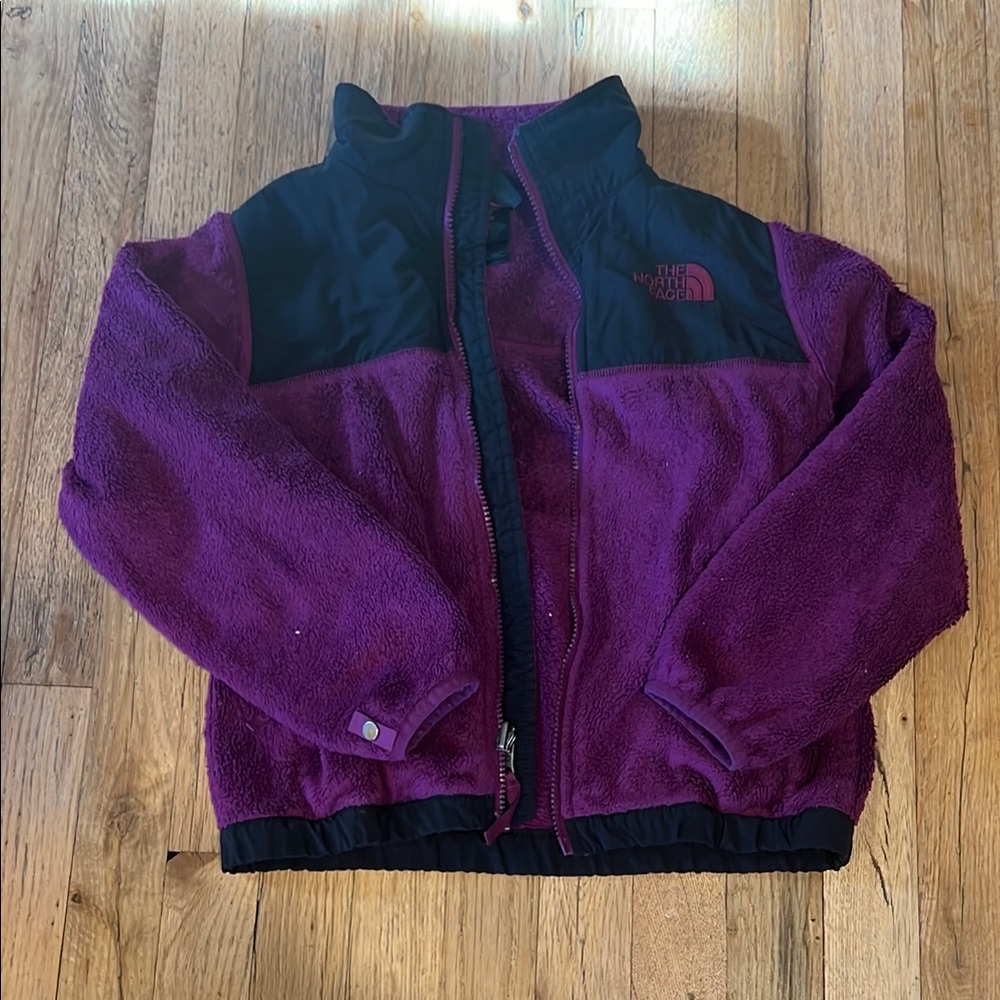 The North Face Kids' Purple Fleece Jacket